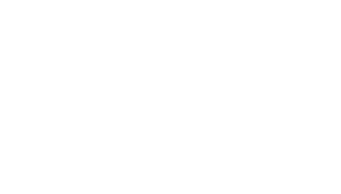 Blackstone Labs logo