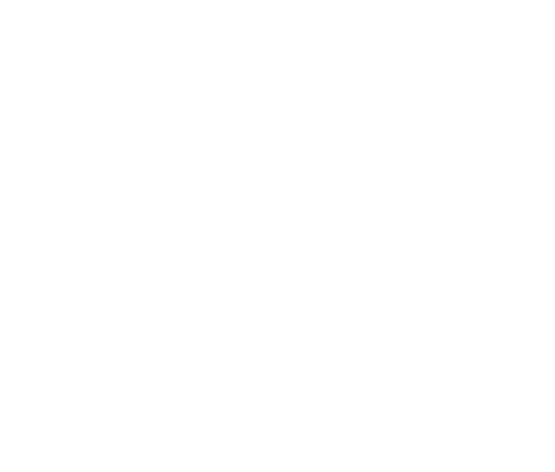Dragon Pharma logo