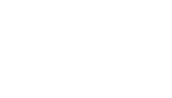 Nature Soothie logo